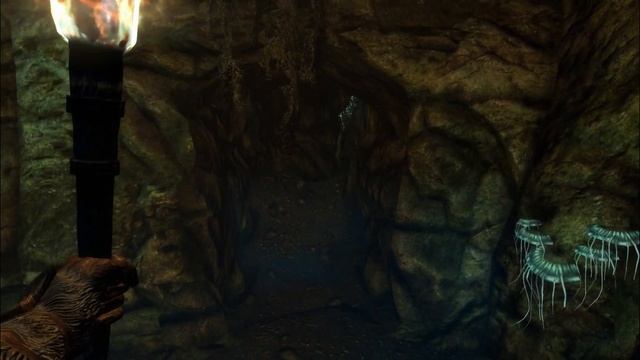 Skyrim Special Edition-ПРОХОЖДЕНИЕ-Пещера Заблудшее Эхо смотреть онлайн