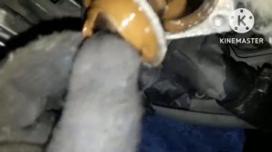 Пассат б3 почему повышается температура