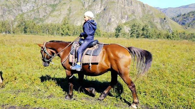 Золотое кольцо Алтая смотреть онлайн