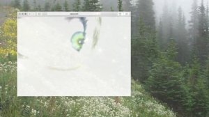 здоровые зелёные глаза, очень длинные ресницы ??♀️ саблиминал