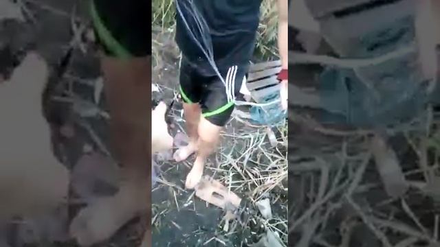 Как правильно закинуть кастенговую сеть. смотреть онлайн