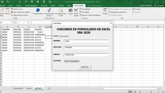 CHECKBOX EN FORMULARIO DE EXCEL VBA [VERDADERO O FALSO] | CONOCIENDO EXCEL смотреть онлайн