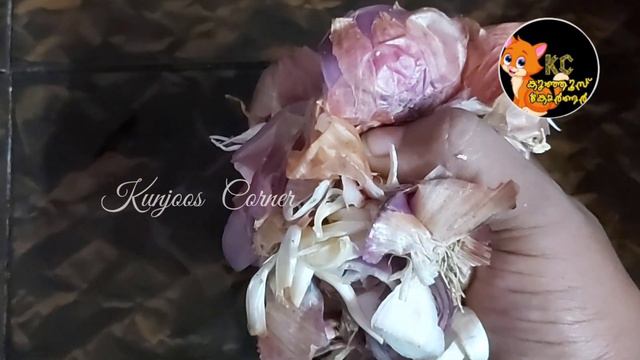 Onion peel fertilizer | onion peel pesticide | Home made fertilizer | Organic fertilizer malayalam смотреть онлайн