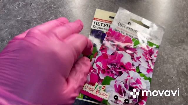 А вам интересно какие семена петунии я купила ? Семена 2023 . @семена2023 @петуния @рассада смотреть онлайн