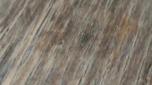 Стул Венский ремонт шпона сидушки 1 часть