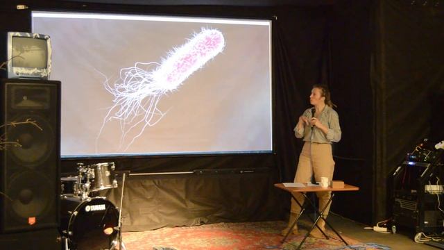 Екатерина Шашлова. Происхождение жизни и первые обитатели Земли. смотреть онлайн