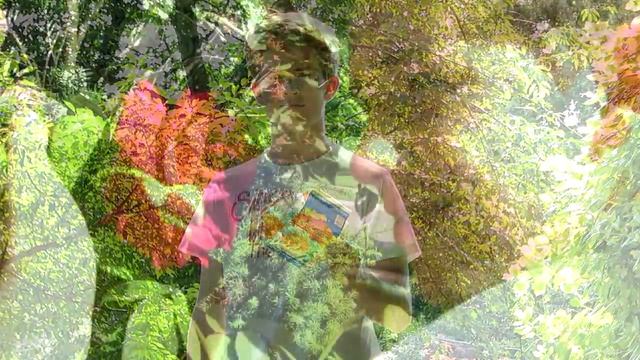 Economics: The Show!