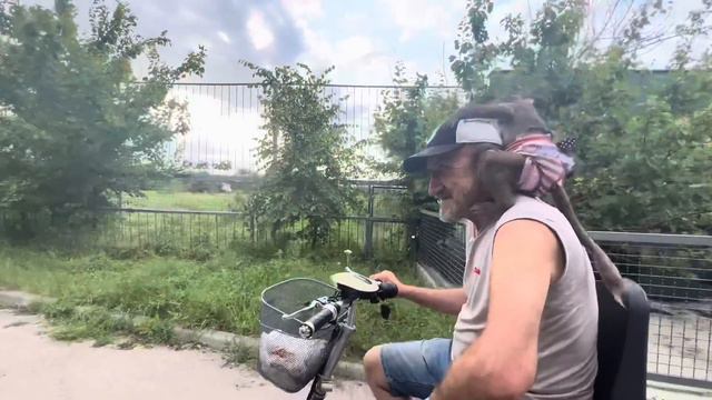 Люся ВСПОМНИЛА ДЕТСТВО и так мило катается по парку в корзинке получая подарки! смотреть онлайн