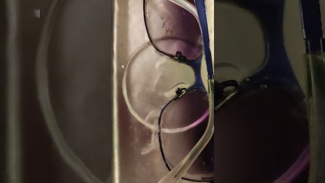Пример использования Ультразвукового очистителя Xiaomi Lofans CS-602 на разных предметах. смотреть онлайн