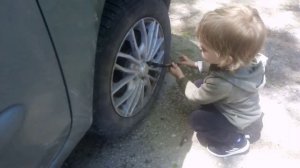 Клапан абсорбера. Рено симбол.