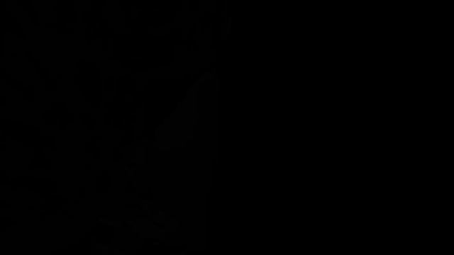 Успокаивающая музыка для нервов ? лечебная музыка для сердца и сосудов, релакс, музыка для души смотреть онлайн