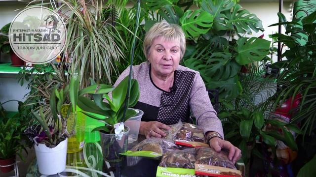 Как пересадить орхидею. Мастер класс Хитсад