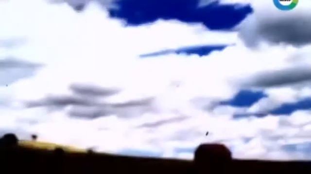 Ужасающая правда вышла наружу! Цели пришельцев на Земле раскрыты! .  Магия красоты.