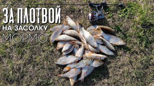 Ловля ПЛОТВЫ спиннингом - это ИНТЕРЕСНО, АЗАРТНО и очень УВЛЕКАТЕЛЬНО. Мормышинг Наноджиг Ультралайт