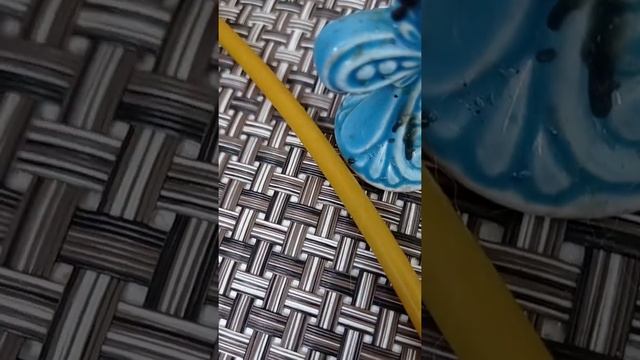 Очистка свечой комнаты, помещения. Заговор. смотреть онлайн