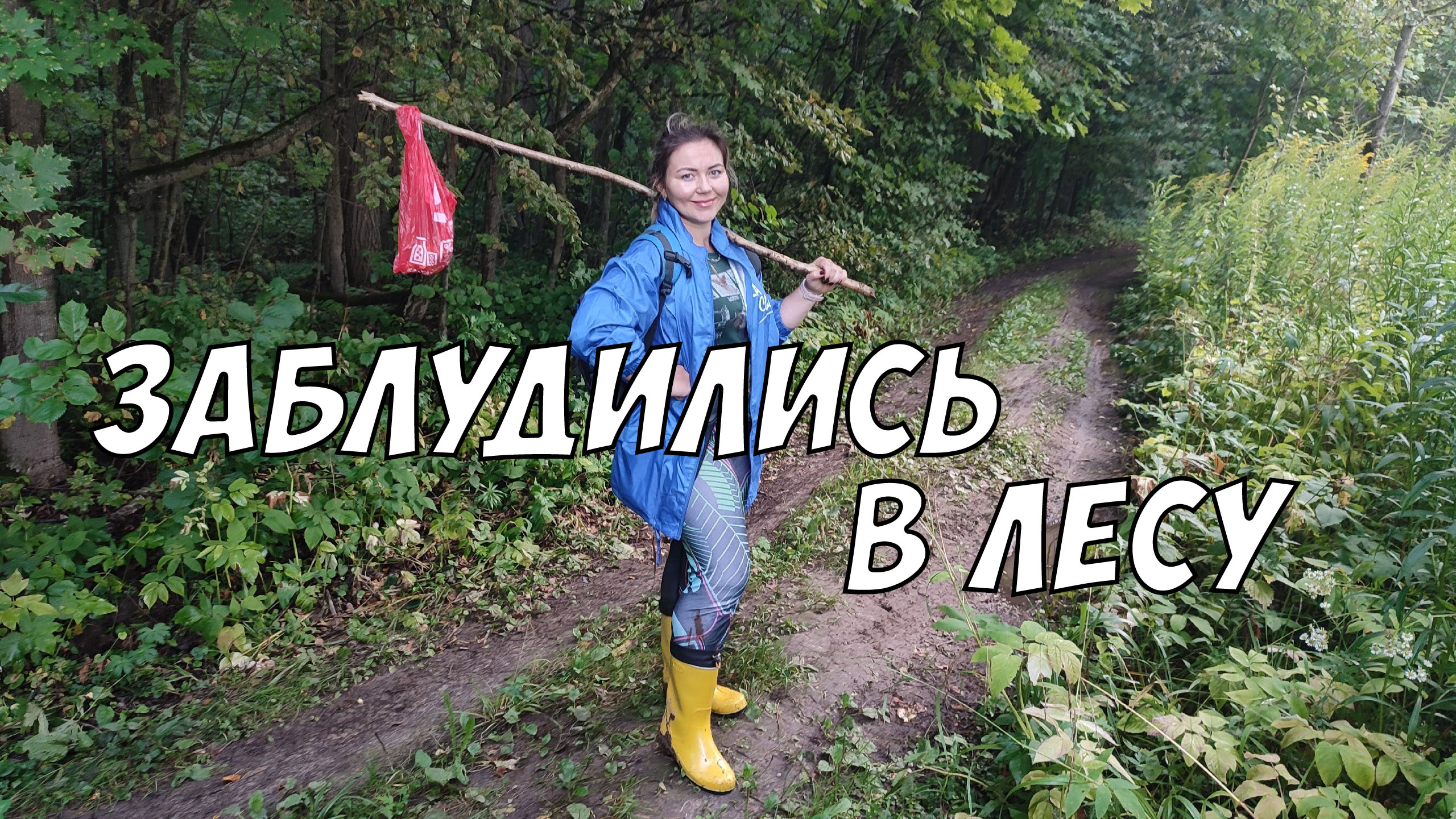 В дождливый лес за грибами - потерялись в диком лесу смотреть онлайн