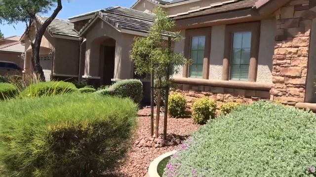 ПЕРЕДНИЙ ДВОР МОЕГО ДОМА В АМЕРИКЕ ЛЕТОМ 2020! ДВА НОВЫХ ВЕЧНОЗЕЛЕНЫХ ДЕРЕВА! AFRICAN SUMAC TREE! смотреть онлайн