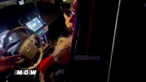 В Воронеже Задержан водитель с котом, который отстреливался фейерверками