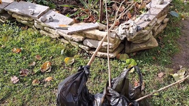 Галнаш с сушёным мясом.Купила и посадила саженцы. Вкусный кекс.