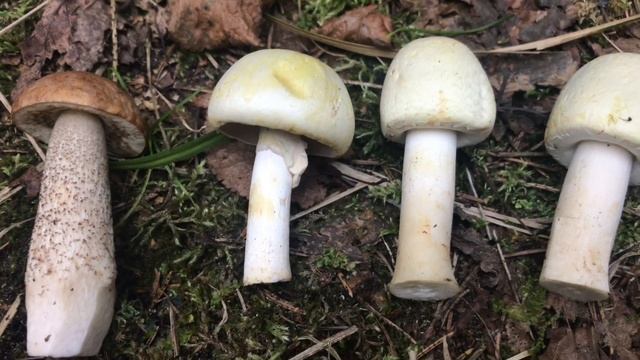 Инструкции по Самоделкам