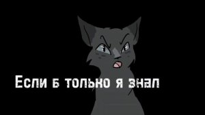 Коты Воители: «Потерян и не найден»