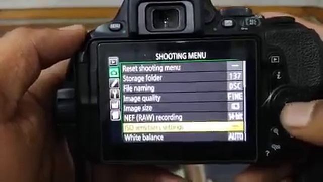 Camera Settings Nikon D5600 , shooting modes photography tips and tricks смотреть онлайн