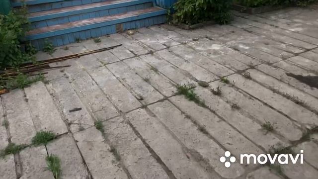 Садим Помидоры и Перец у меня на участке// смотреть онлайн