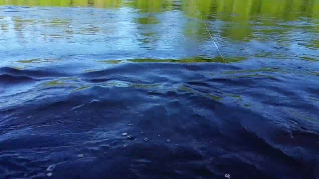 Рыбалка на Кольском полуострове. Семга смотреть онлайн