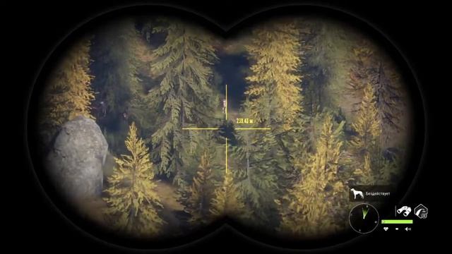 Великий Белохвостый Олень!Я видел его во сне и на ютубе у читеров! The Hunter Call of the Wild смотреть онлайн