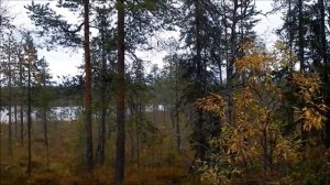 Архив. Фрагменты. 2016. Кольский полуостров. 16.01.24.