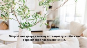 Молитва о раскрытии потенциала. Никогда не преткнётесь