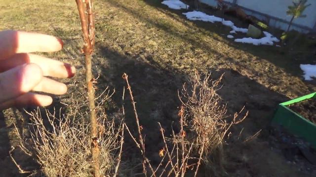Открываем дачный сезон 13.04.2018 смотреть онлайн
