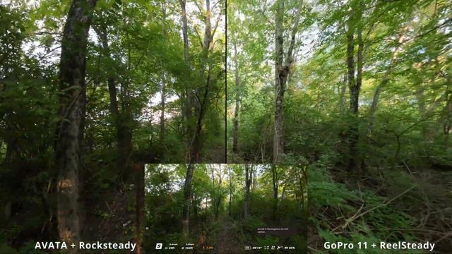 DJI Avata VS GoPro Hero 11 Video Comparison смотреть онлайн