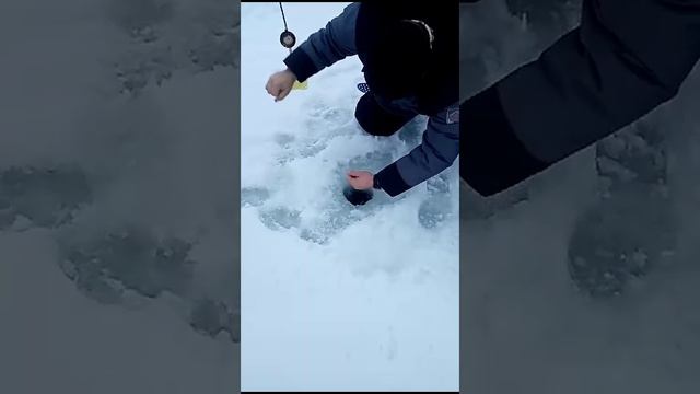 Клёвая рыбалка в Лёдово смотреть онлайн