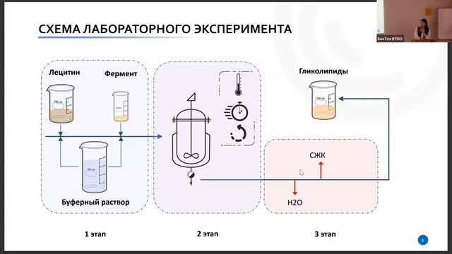 18-я Конференция по фосфолипидам, Санкт-Петербург (Россия), запись 2-го дня (5 октября 2023г.) смотреть онлайн