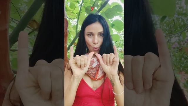 Нейрогимнастика. Дактиль. Жестуно. Пальчиковая гимнастика.