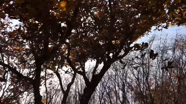 Поход на мыс Тобизина 21.10.2018 смотреть онлайн