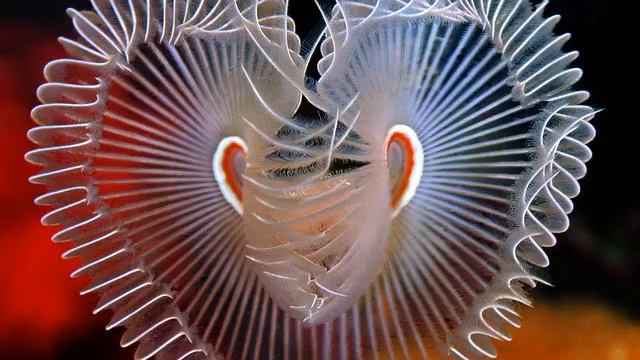 Хорошие русские новинки про любовь онлайн