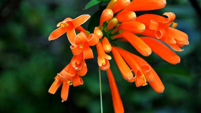 Лучшие песни для отдыха онлайн смотреть онлайн