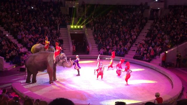 Цирк Индира.выступление слонов. шоу Инди-Ра. Тульский цирк смотреть онлайн