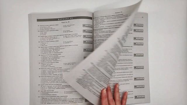 Централизованное тестирование. Русский язык. Полный сборник тестов смотреть онлайн