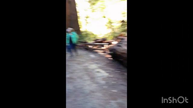 Day 2 in San Francisco, we are going to Alcatraz and Muir Woods😱! смотреть онлайн