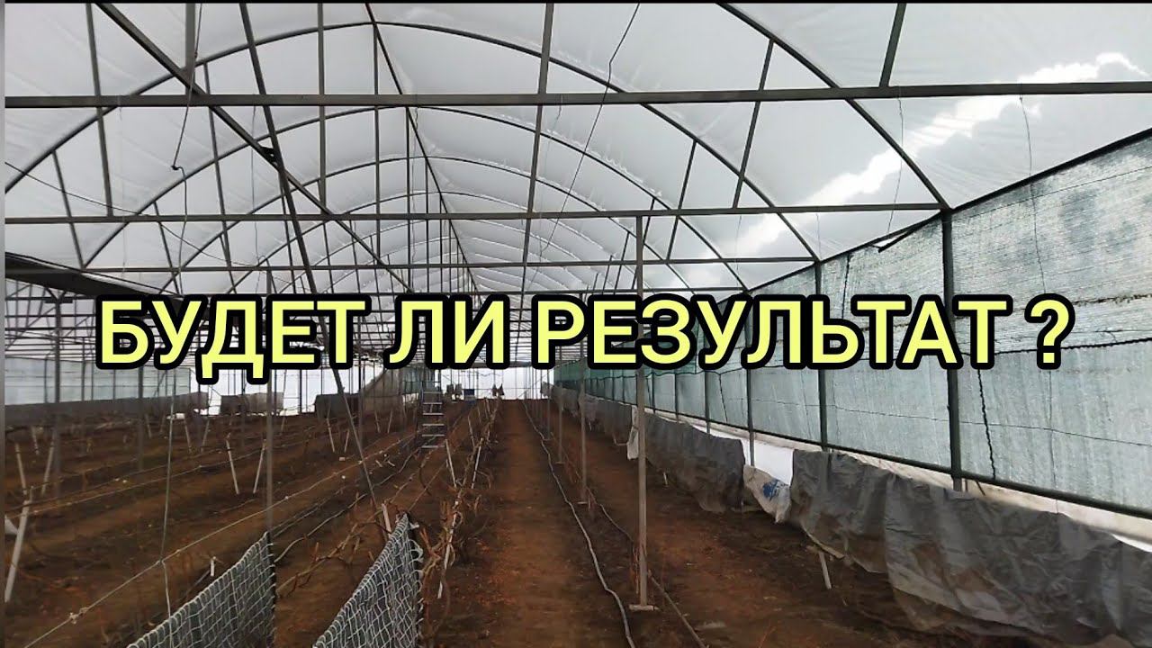 Марьинский Виноградник