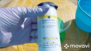 Глисты у бройлеров и  кур. Профилактика и лечение. Желтый понос у бройлеров - один из признаков.