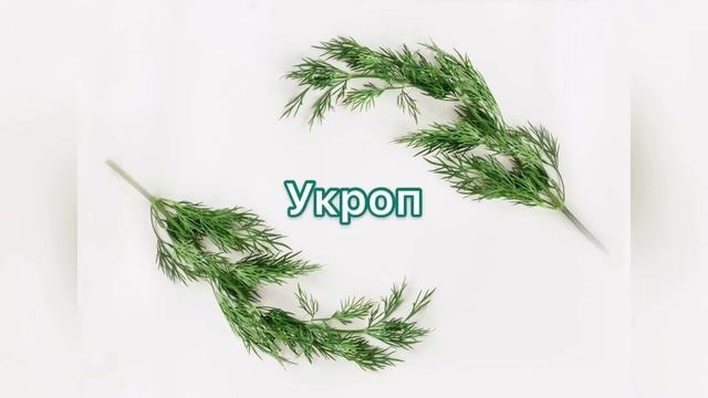 Как ОБОГАТИТЬ свой организм ВИТАМИНАМИ, не выходя из дома – ОГОРОД на подоконнике (укроп и томаты) смотреть онлайн