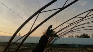 Постройка Зимней Теплицы Под Рассаду / Эта Теплица выдержит любой Ураган