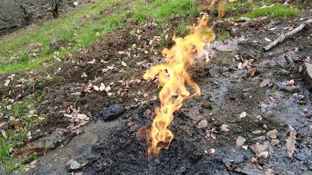 Масаллы(5) смотреть онлайн