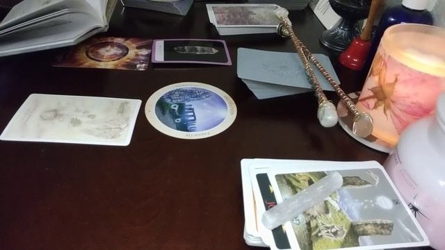 False teachers are leading you away from your true life path-north star, Empress, Emperor смотреть онлайн