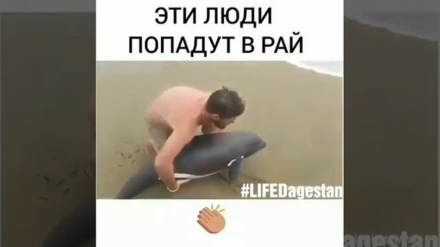 Мир не без добрых людей смотреть онлайн