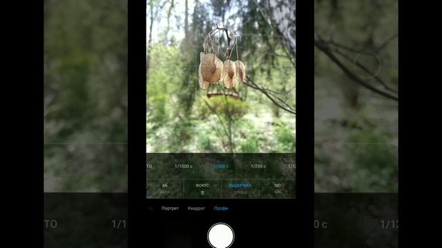 #creative #фото #мобильный #photographyideas #фотографии #идея #крутое #телефон #сделать #kiev смотреть онлайн